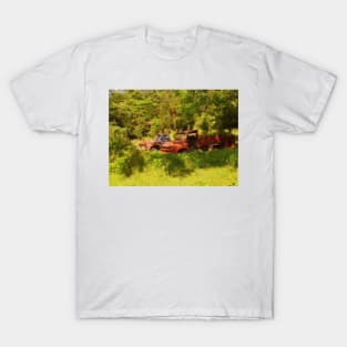 Out To Pasture T-Shirt